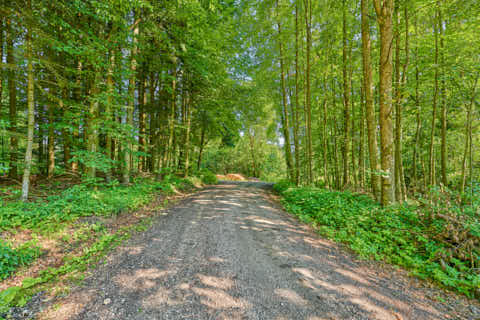 Gemeinde Erharting Landkreis Mühldorf Hampersberg Forststraße (Dirschl Johann) Deutschland MÜ